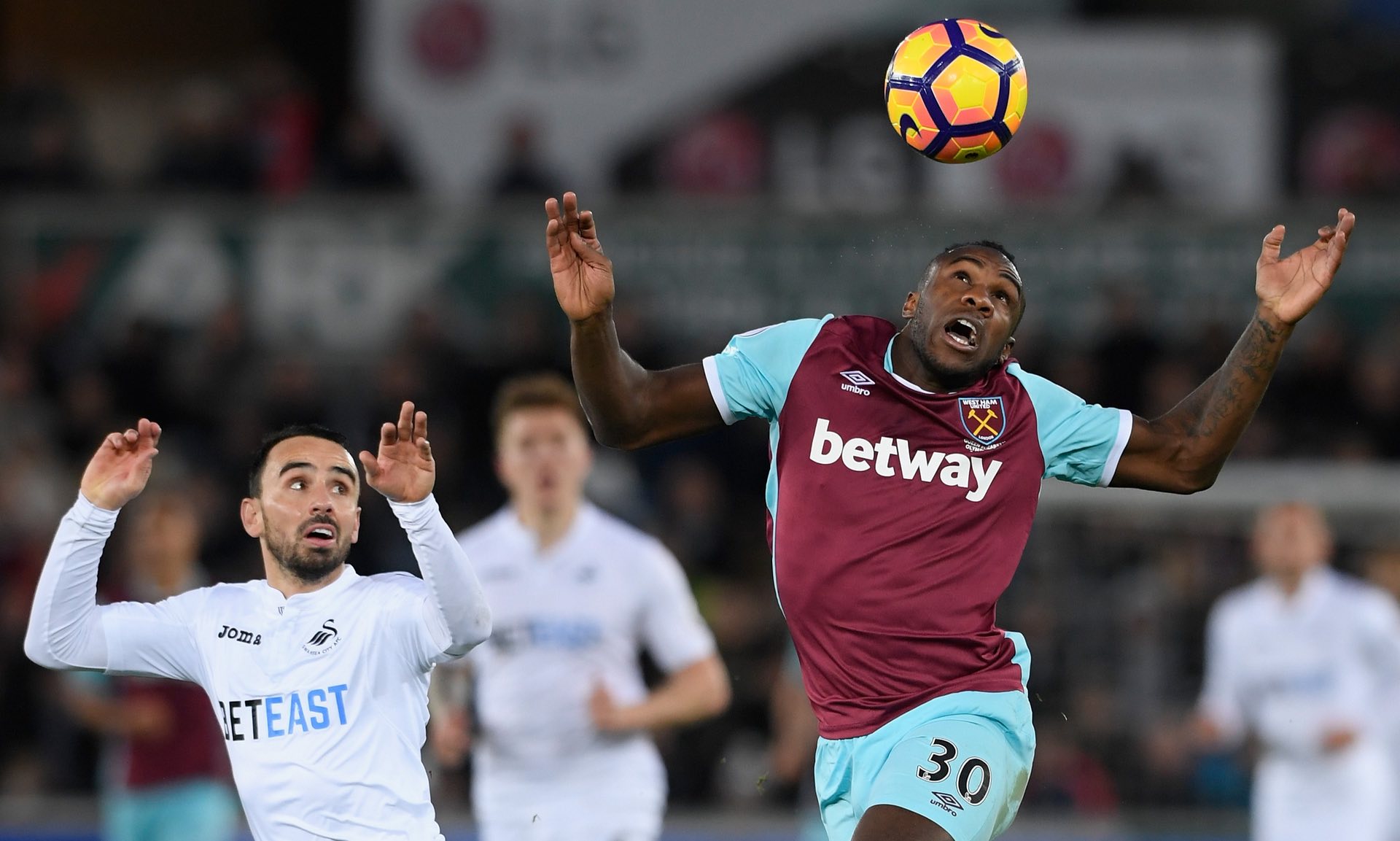 他們的成功 他們的成功