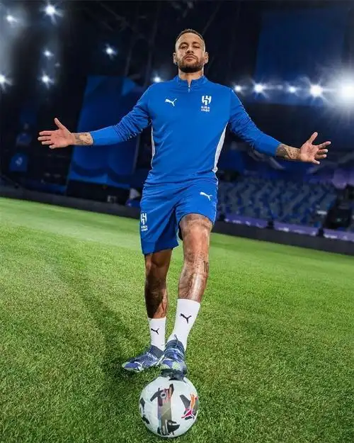 諾充足的逆 諾充足的逆