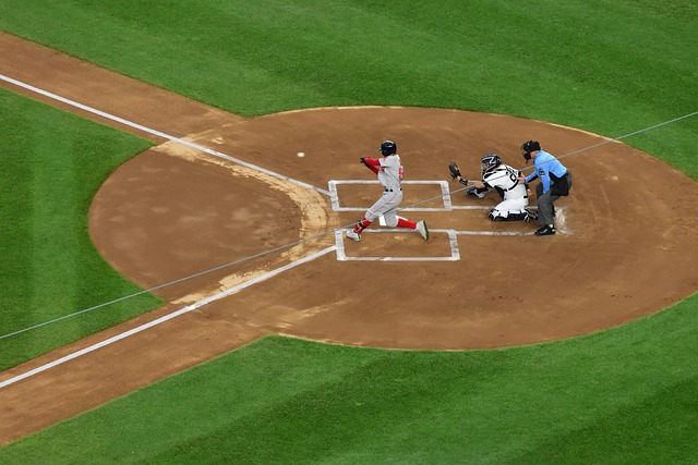 替补球员的 替补球员的